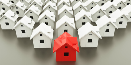 Property Portfolio Building